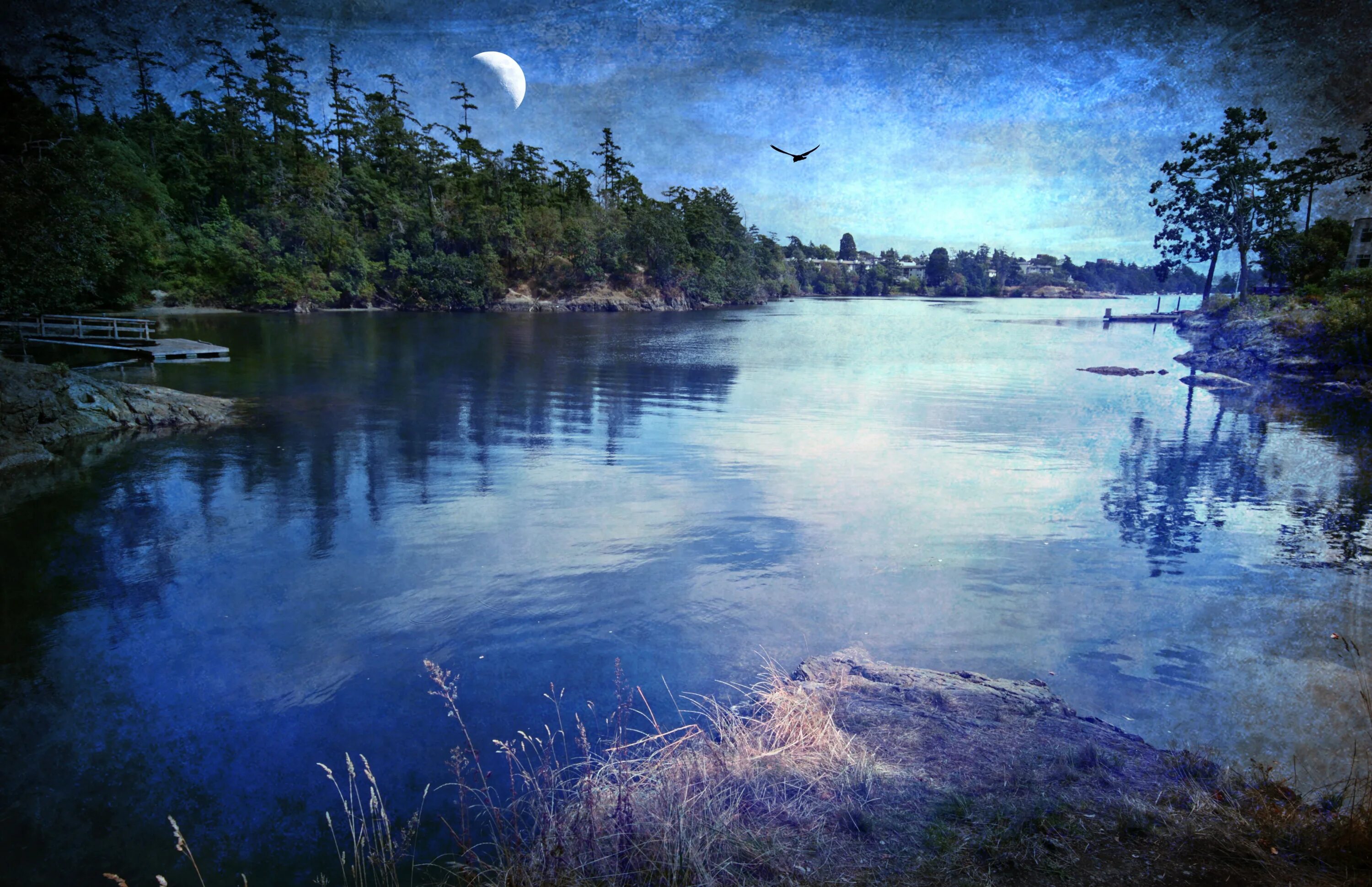 Вечера синь. «Озеро в лунном свете», Эдвард Стайхен+. Озеро в лунном свете. Мистическое озеро. Синий вечер.