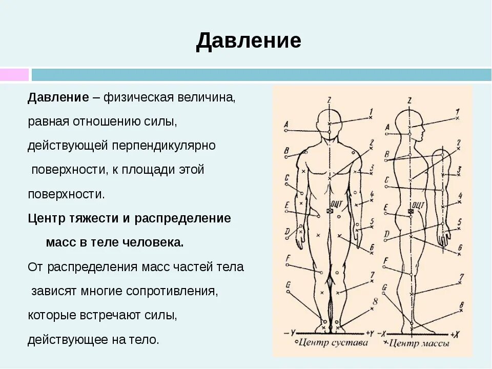 Где расположен центр тяжести тела. Центр тяжести. Центр массы тела человека. Центр тяжести человеческого тела. Общий центр тяжести.