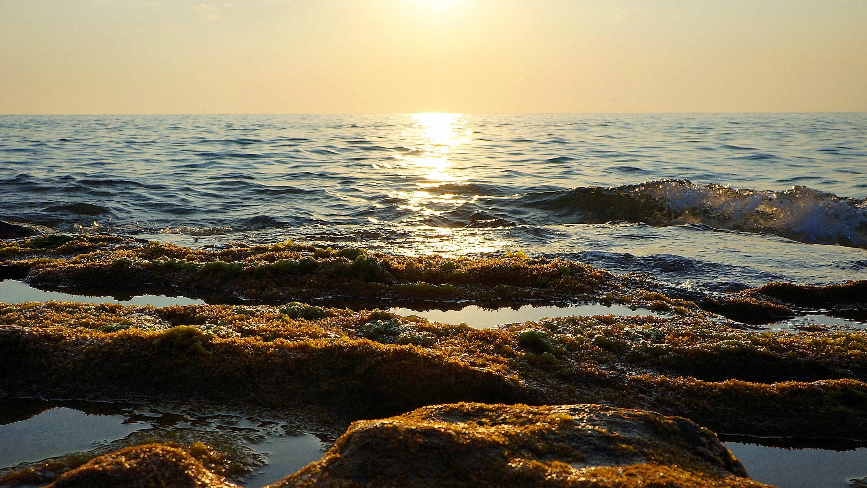 Парусные яхты колумбии. Яхта в море. Marine wave. Marina sea. Sea marine.