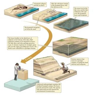 Processes occur