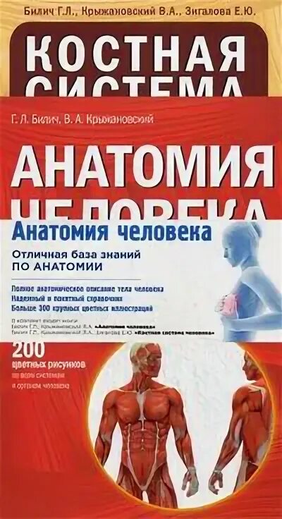 Читать полностью анатомию