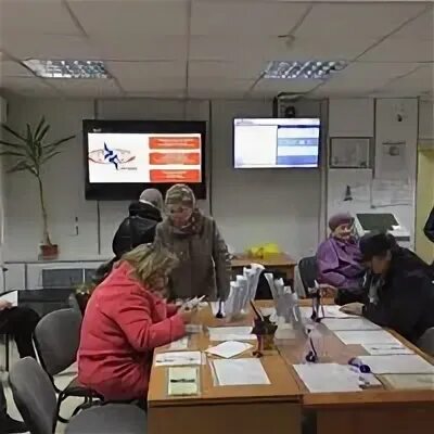 Петербургские сети