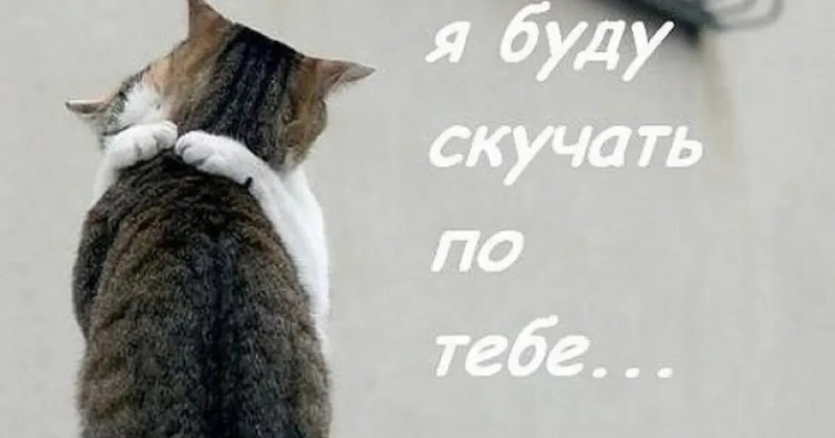 Моя суббота проходила очень хорошо. Я очень добрая. Я скучаю по тебе картинки. Мне пока не очень. Моя суббота проходила хорошо пока.