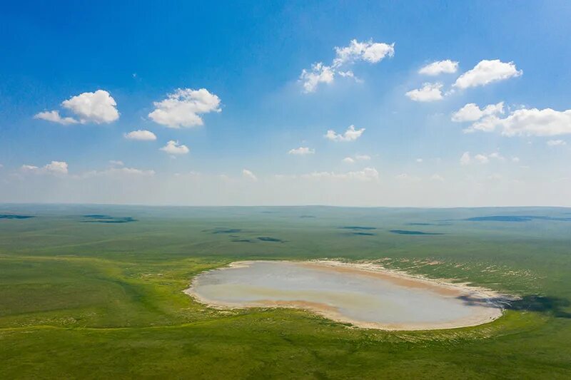 Заповедник "Даурский"