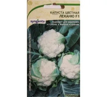 Сорт капусты абени
