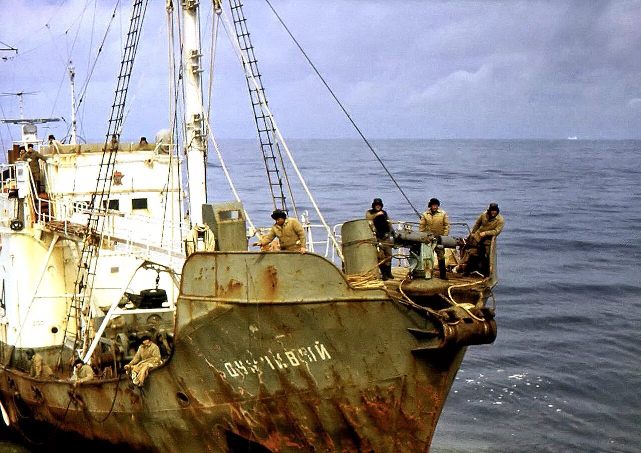 Китобойное судно павел фролов. Китобойная плавбаза советская россия. Китобойная флотилия алеут. Китобойная флотилия алеут. Китобойная база «советская украина» – судно.