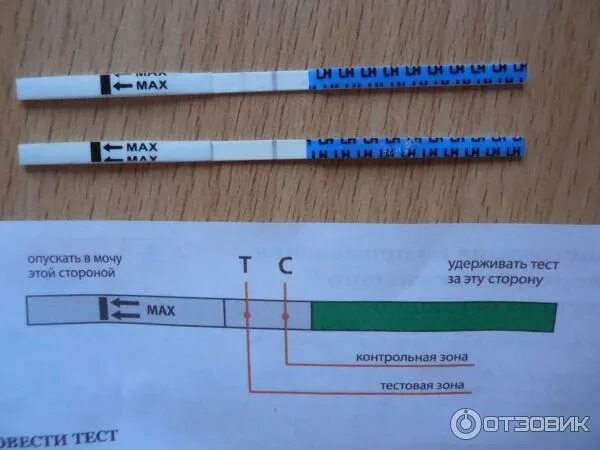 Тест на беременность. Правильный тест на беременность. Результаты теста на беременность. Тест на овуляцию.