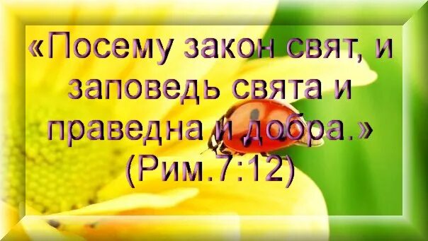 Помни день Субботний чтобы святить его. День Субботний заповедь. Святой закон. Законы не священны. Не ужинать святой закон кому