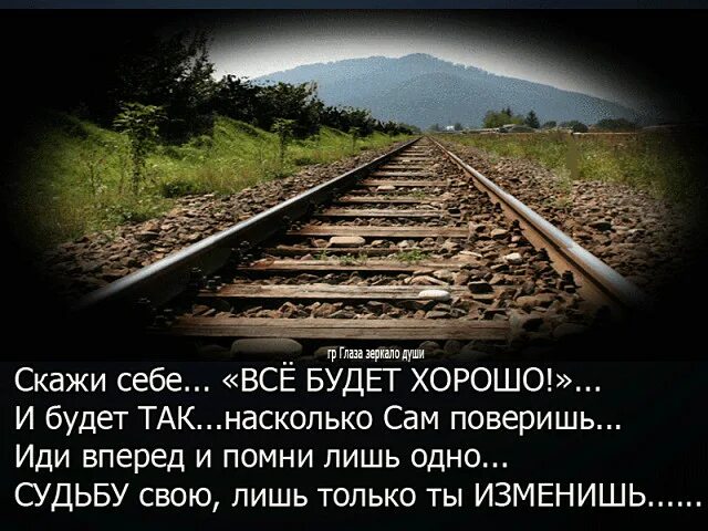 Все хорошо!. Бездомные кошки. Верю что все будет хорошо. Цитаты сэтолько в перед. Статус чтобы все было хорошо.