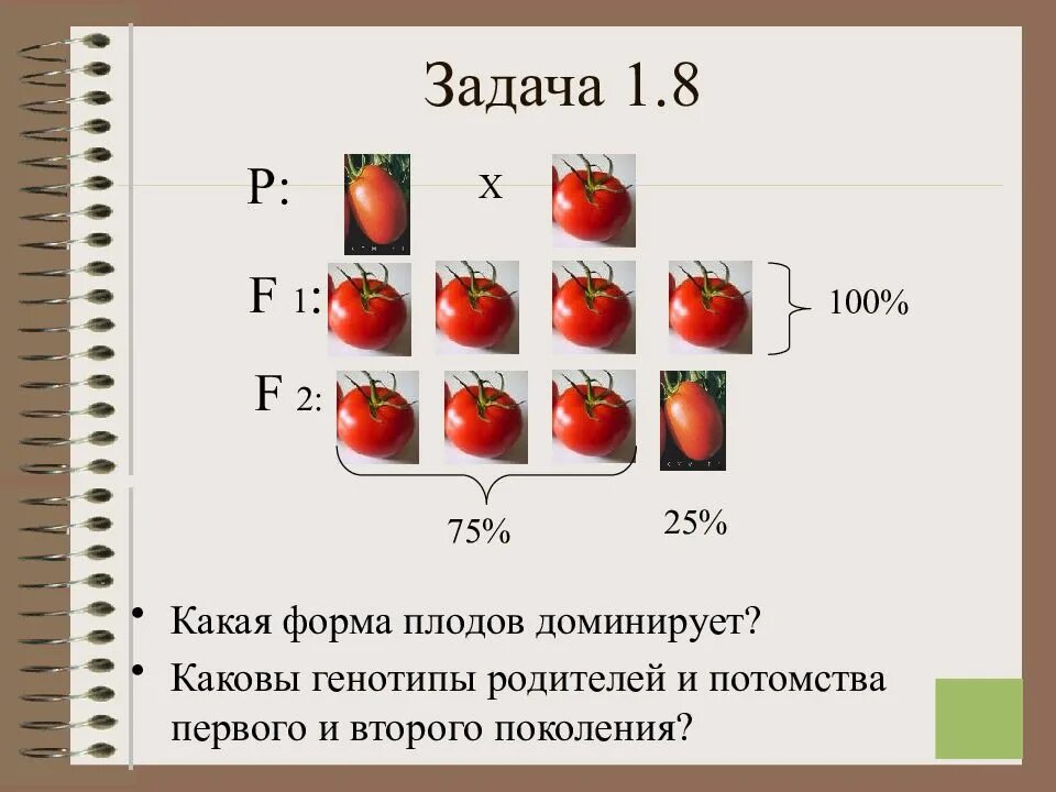 Задача на генотип родителей