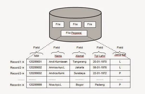 Dvr file