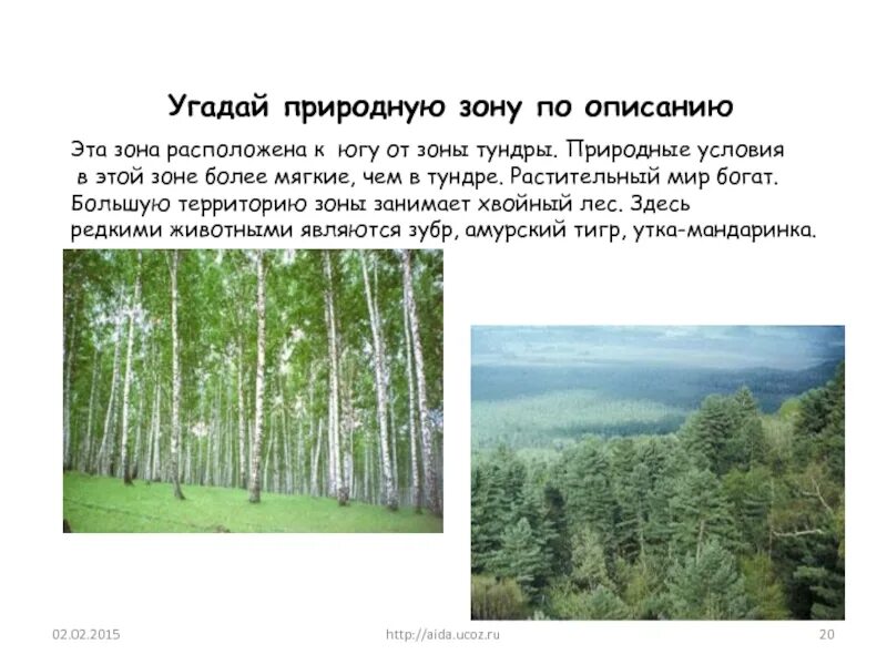 Бук какая природная зона. Угадай природную зону по описанию.. Узнай природную зону по описанию. Отгадай природную зону по описанию. Природные зоны по описанию.