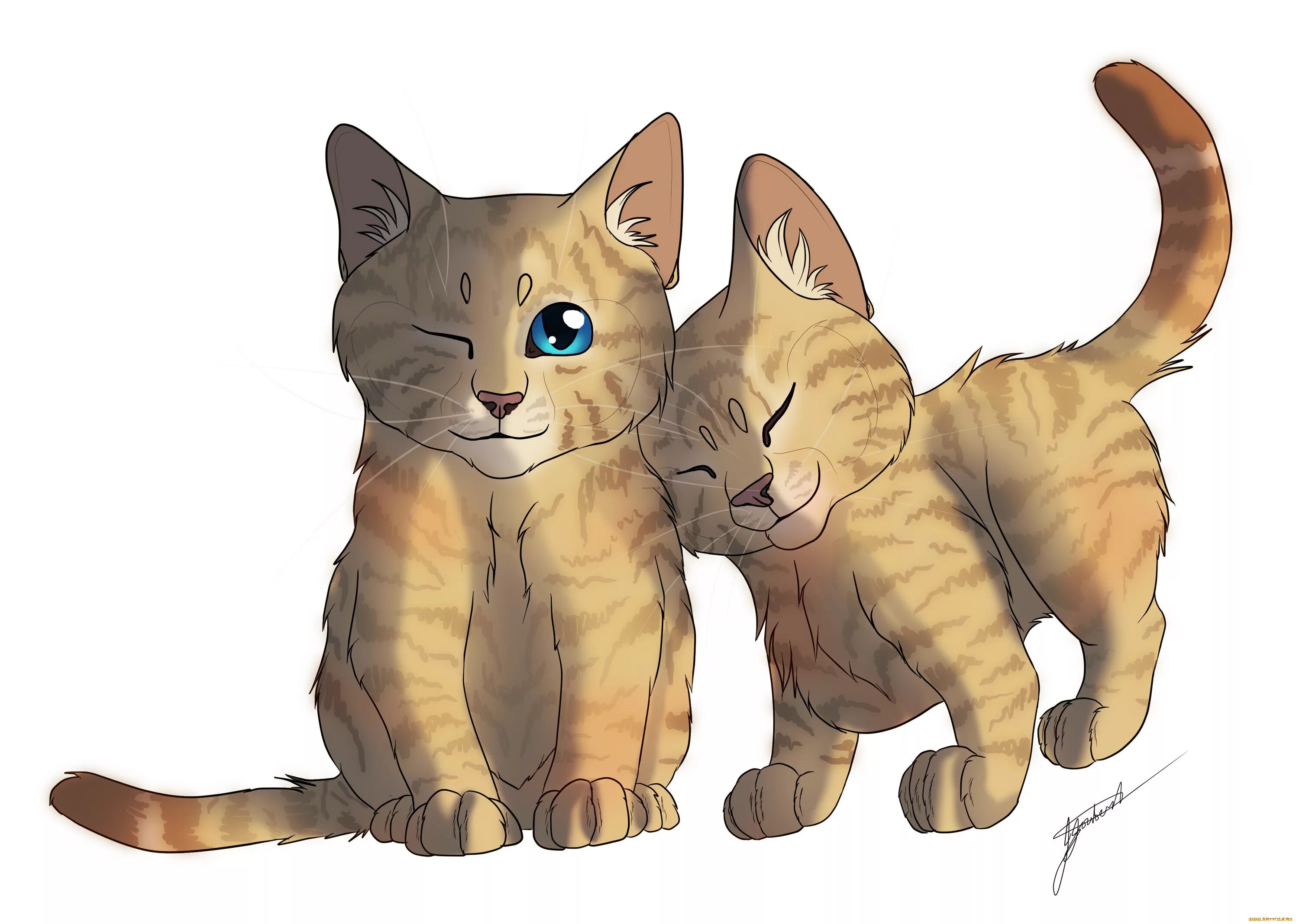 2 нарисованных котиков