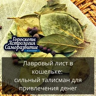 Заговор лаврового листа на деньги в кошелек