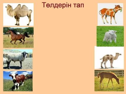 Толық орыс әйелдерімен жыныстық қатынас