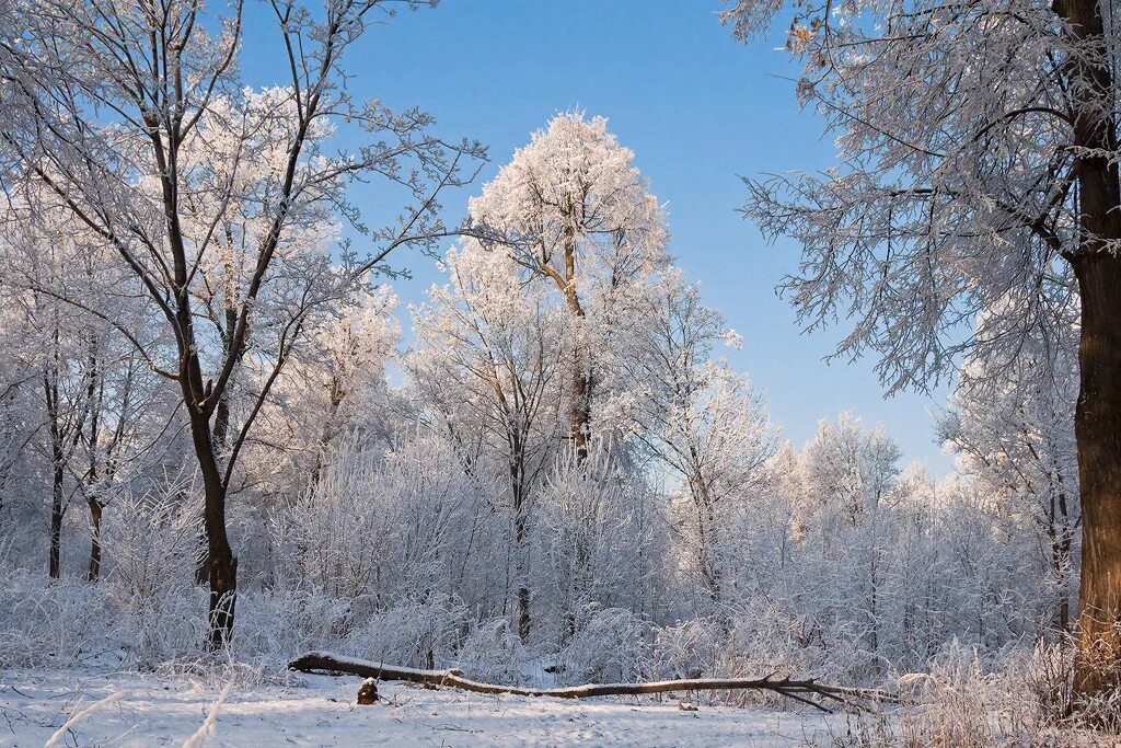 Зимний пейзаж. Зимушка зима. Зима - Чародейка.. Зимнее время года.