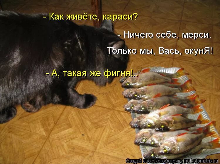 Выражение ничего себе