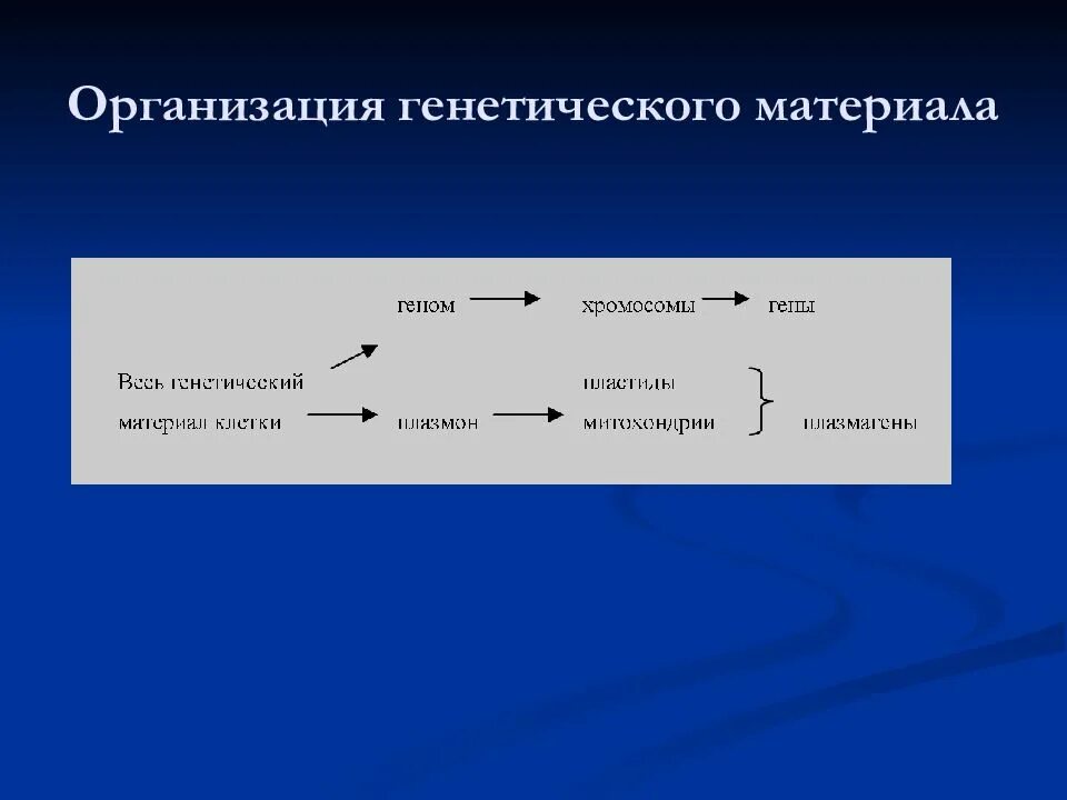 Организация генетического материала. Функционально генетическая организация ДНК. Организация наследственного материала