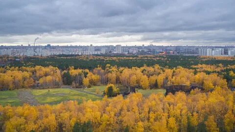 Жулебинский парк