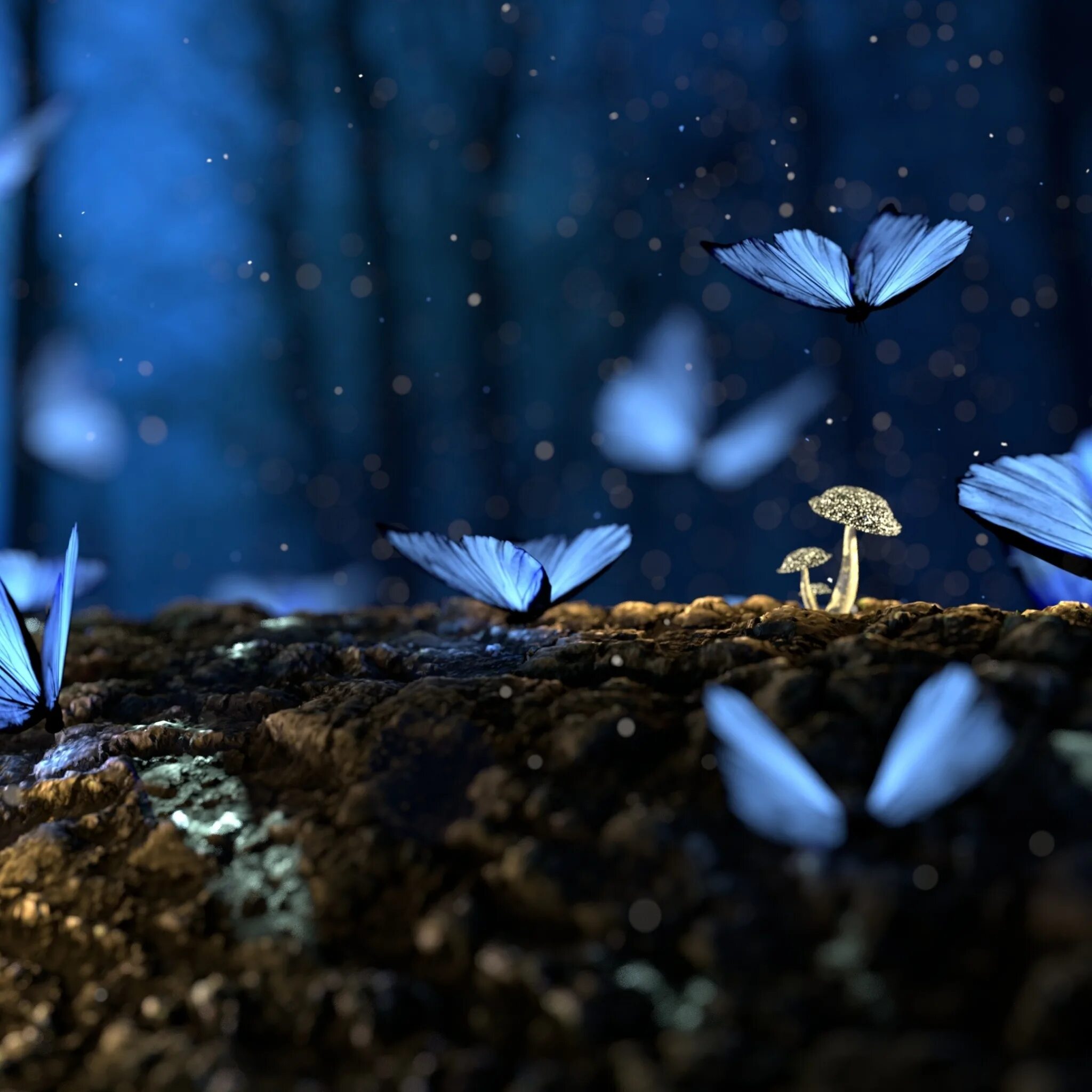 Песни бабочка ночь. Волшебные бабочки. Магические бабочки. Бабочки в темноте. Бабочки синие ночью.