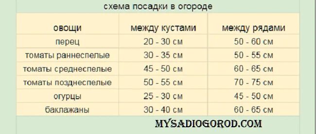 На каком расстоянии сажать семена огурцов. Схема высадка рассады баклажана в открытый грунт. Схема посадки баклажан в открытый грунт. Схема высадки перцев и баклажан в открытый грунт. Схема посадки перцев в открытый грунт рассадой.