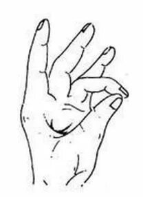 11 november is 'singles' day' in shanghai. Wang chuqin 2021. Лян цзинкэ. Гьян мудра. Дощечка для массажа пальцев.