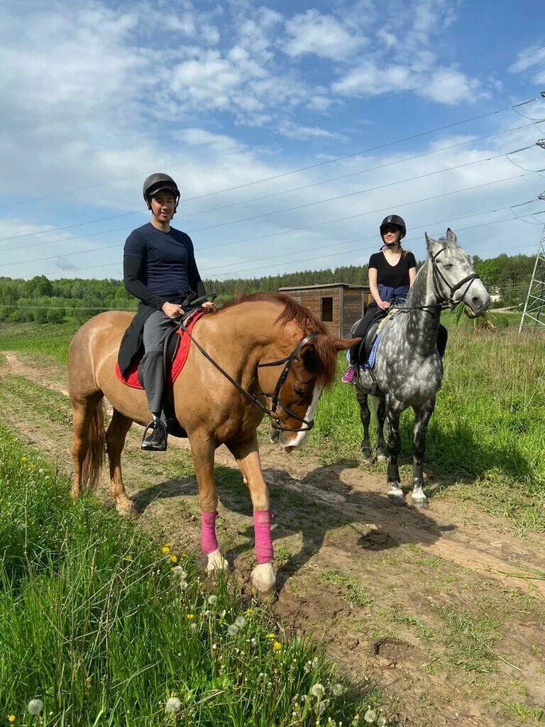 Кск ромашково. Конюшня Ромашково. Конный клуб Ромашково. Ромашково конно-спортивный клуб.