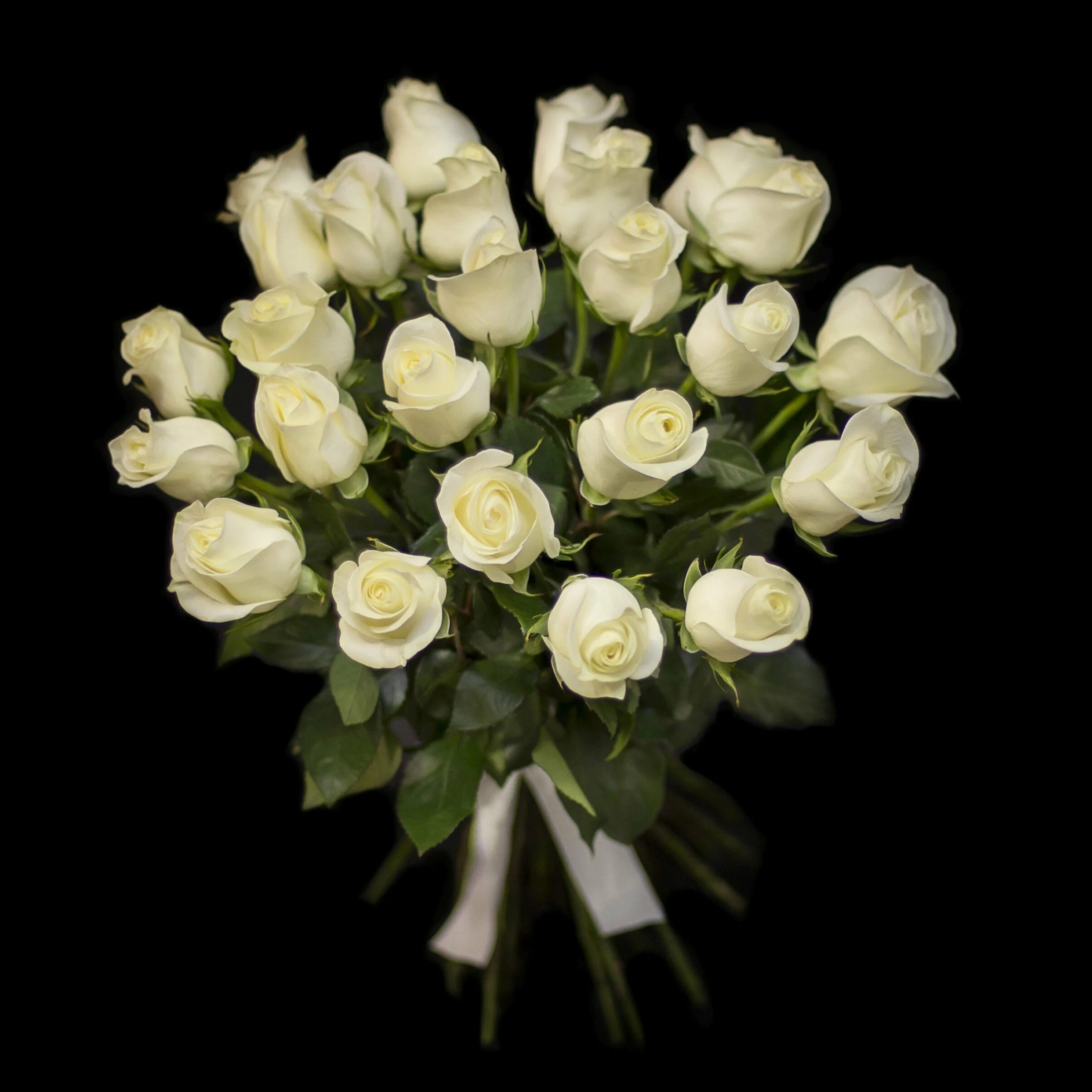 Букеты роз белых роз. 101 роза вайт наоми. Букет "аваланж". Букет белых роз 25 штук. Красивый букет белых роз.