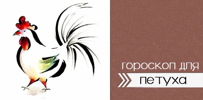 Гороскоп женщины года петуха. Знак зодиака близнецы. Год петуха гороскоп. Знак гороскопа близнецы. Гороскоп.