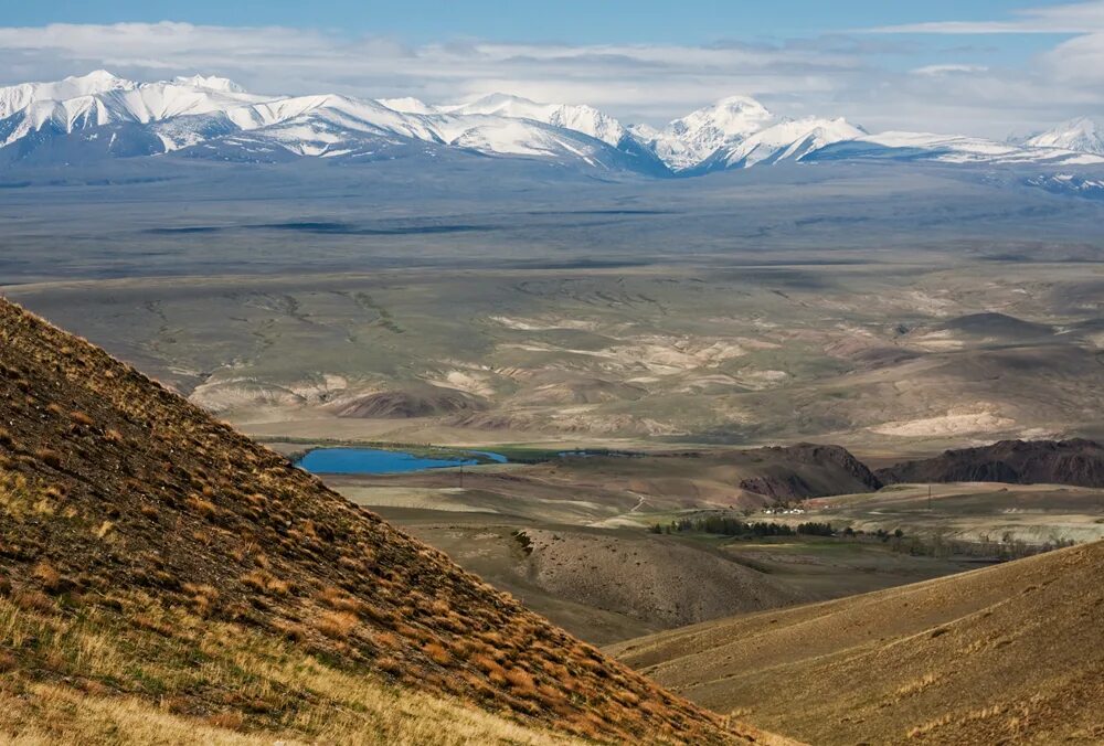 богатая грива владивосток. хребты богатая. хребты богатая. хребты богатая. хребет бийская грива.