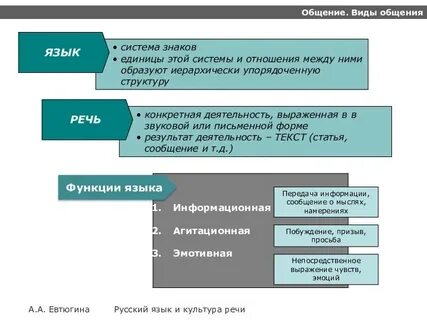 Основы языкового общения