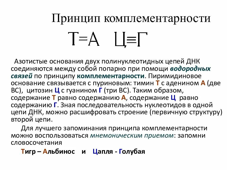 Принцип комплементарности запишите. Принцип комплементарности днк и рнк. принцип комплементарности нуклеотидов. принцип комплементарности нуклеиновых кислот. принцип комплементарности от ирнк к днк.