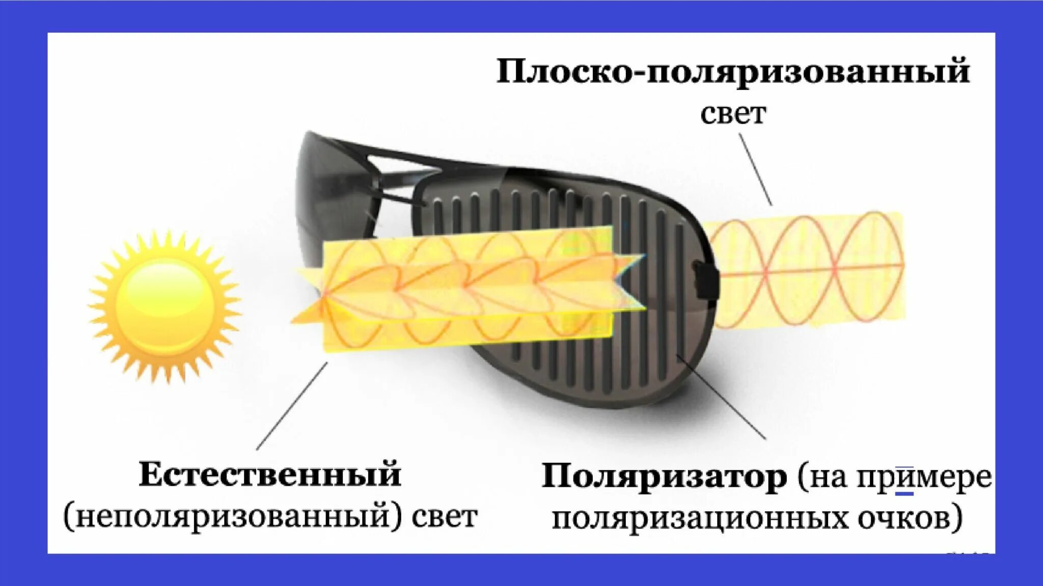 Поляризованный свет в природе. Поляризация света таблица. Поляризация примеры в природе. Эффект поляризации очков. Поляризованный свет примеры.