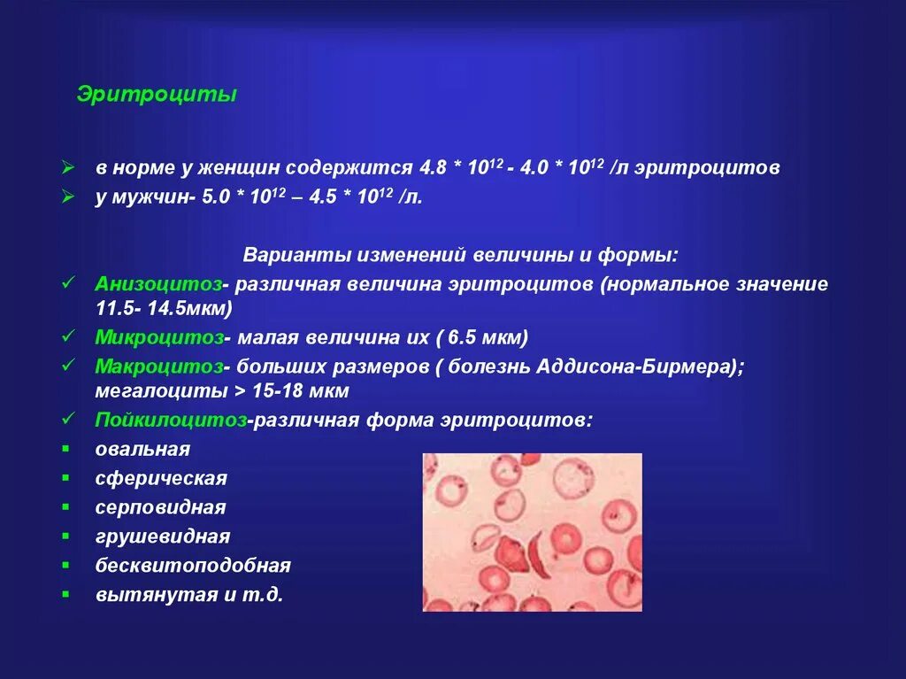 Эритроциты показатели нормы. Количество эритроцитов в крови норма. Повышение содержания эритроцитов. Норма эритроцитов в крови повышена.