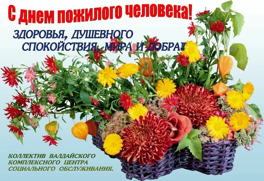 Кцсон осень первоуральск. С днем пожилых людей цсо. Кцсон кодинск. Мценск клуб ветеранов. Денбп ожилого человека.