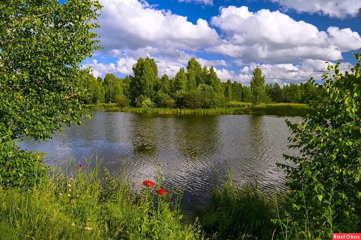 надпись лето красное. лето. ах лето. новинки лета. лето ах лето слушать.