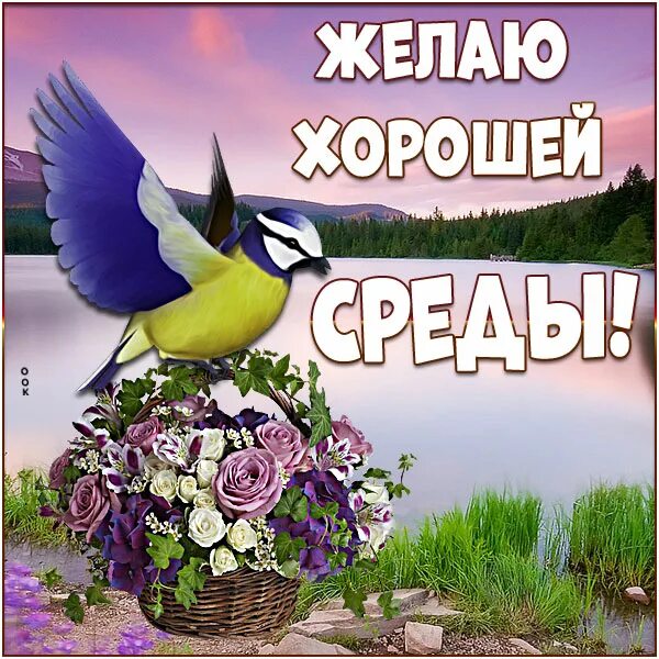 Добрые пожелания. Удачной среды и хорошего настроения. Хорошей среды словами. Пожелание хорошей среды. Открытки с пожеланиями на среду.