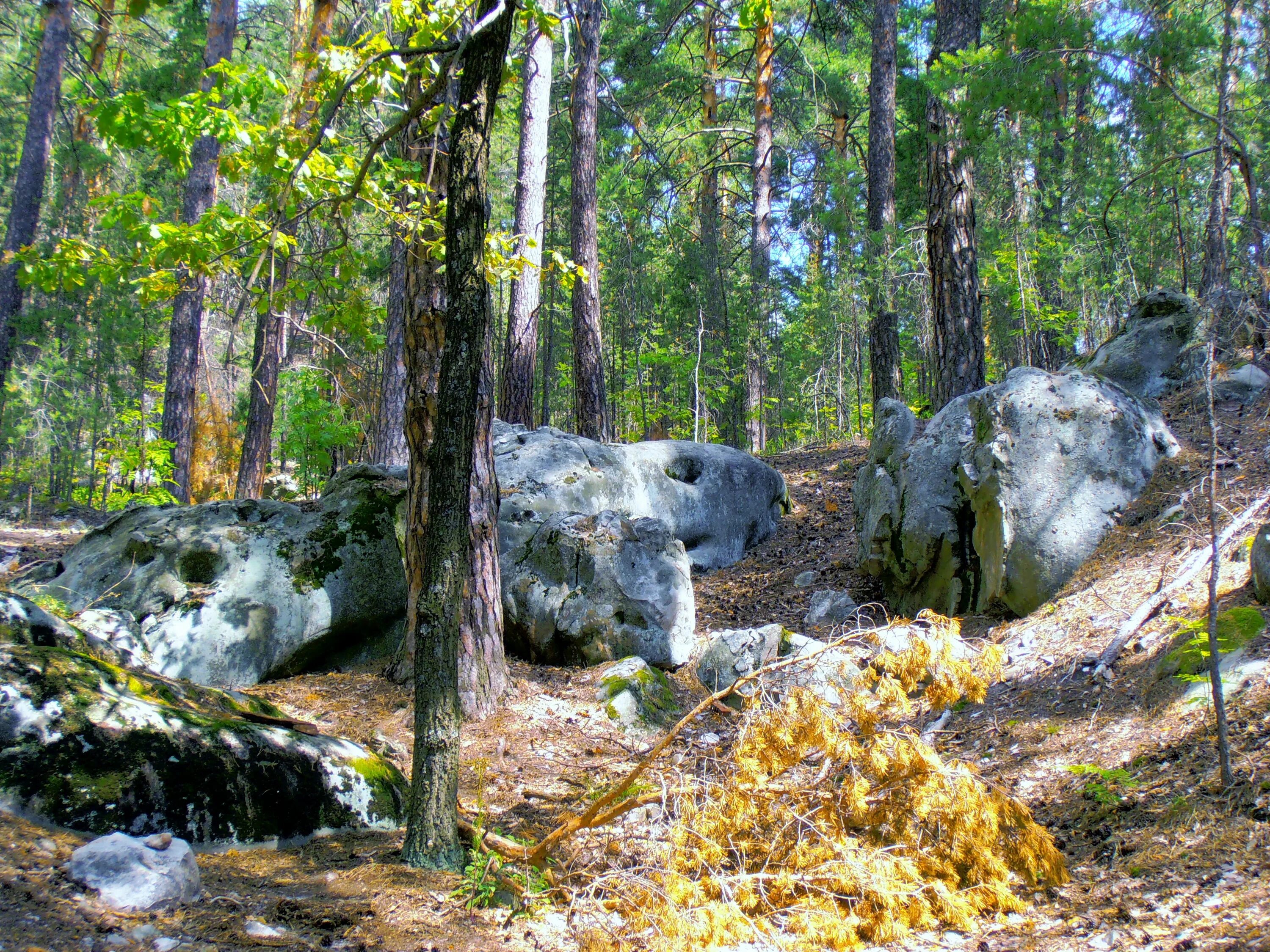 Памятники природы ульяновской