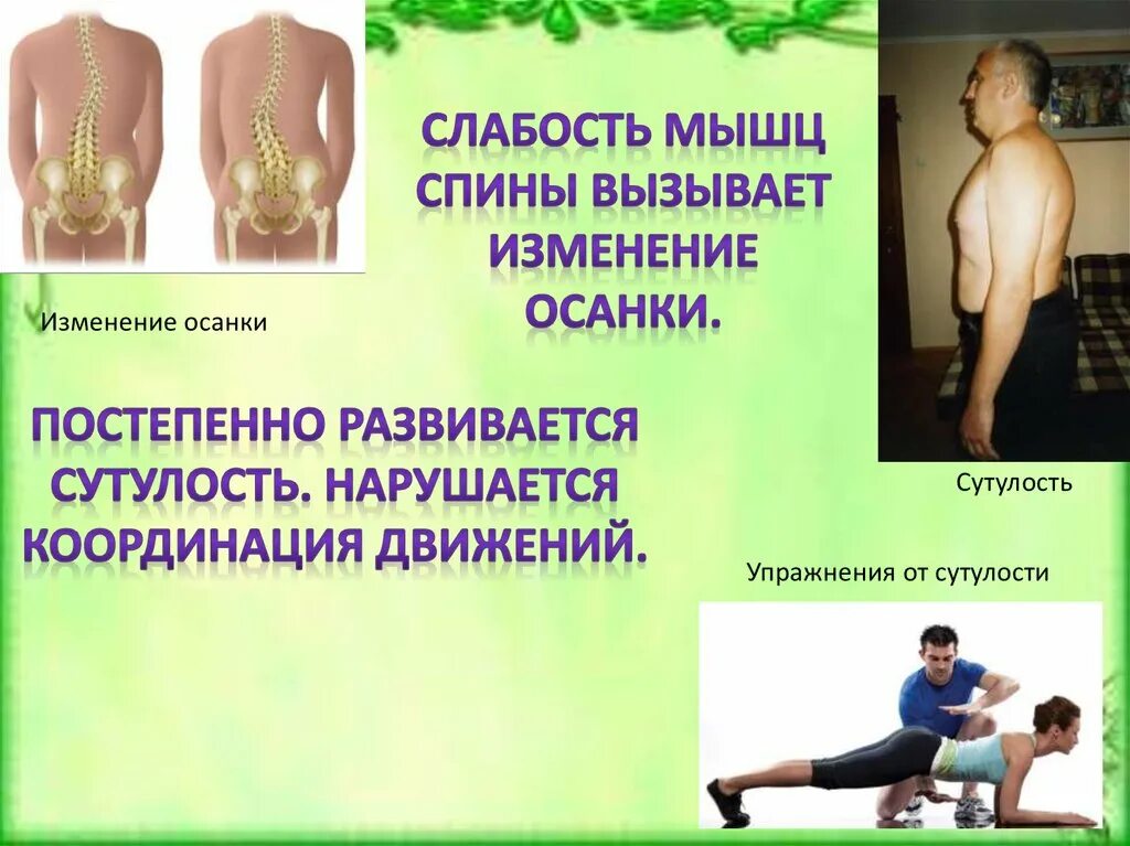 Значение физических упражнений для формирования скелета