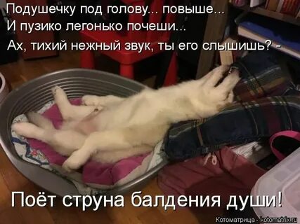 Слышала ты поешь