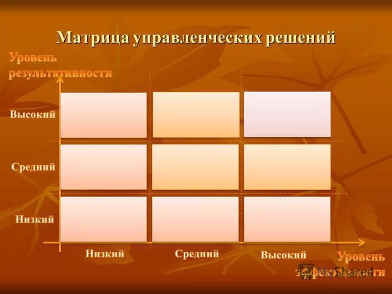 Матрица управленческих решений. Матрица управленческих решений