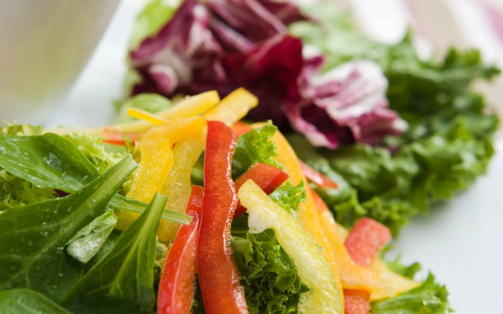 Овощной салат. Зелень для салатов. Салат из зелени и овощей. Салатные овощи. Можно ли есть овощной салат