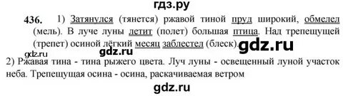 Русский язык 5 класс упр 436