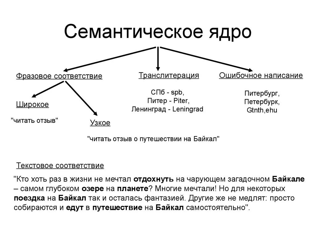 Семантическое ядро это простыми словами. Как собрать семантическое ядро. Семантическое ядро сайта. Симпатические ядра.