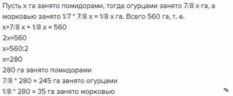 Поле площадью 24 га