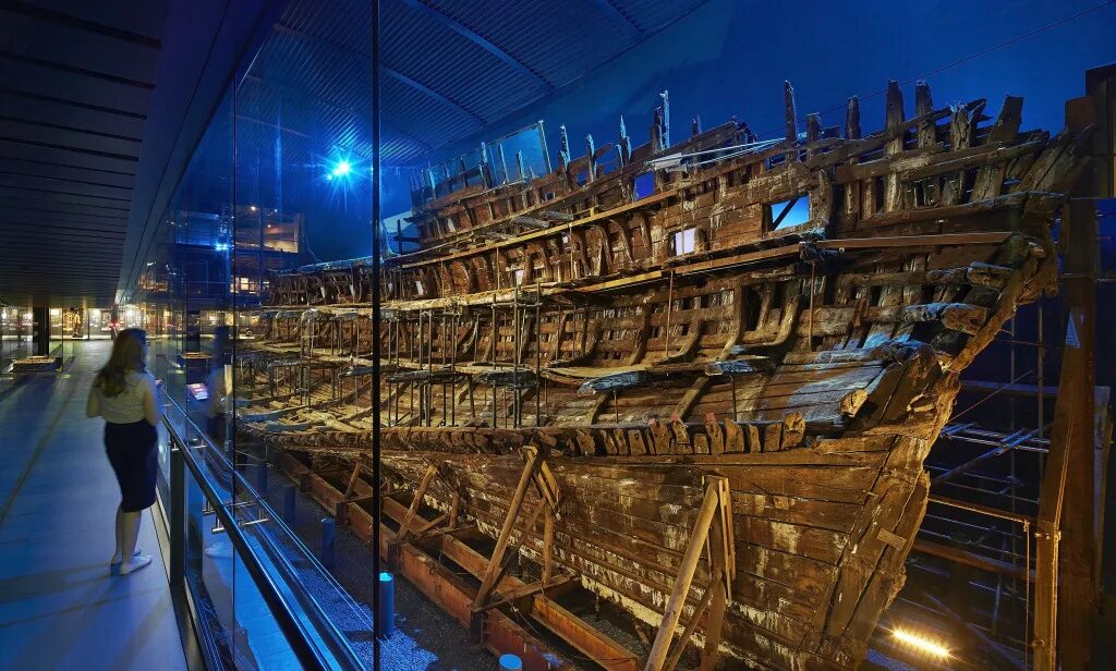 The mary rose. The mary rose. The mary rose. The mary rose. The mary rose.