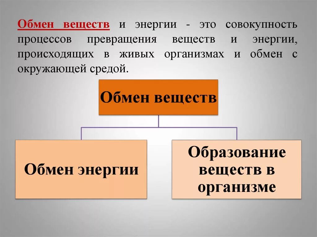 Деятельности при котором происходит обмен идеями. Обмен веществ и энергии. Обмен веществ и превращение энергии. Обмен веществ и превращение энергии в организме. Что такое обмен веществ кратко.