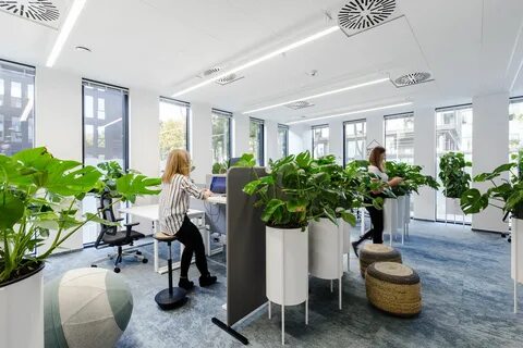 Office plants