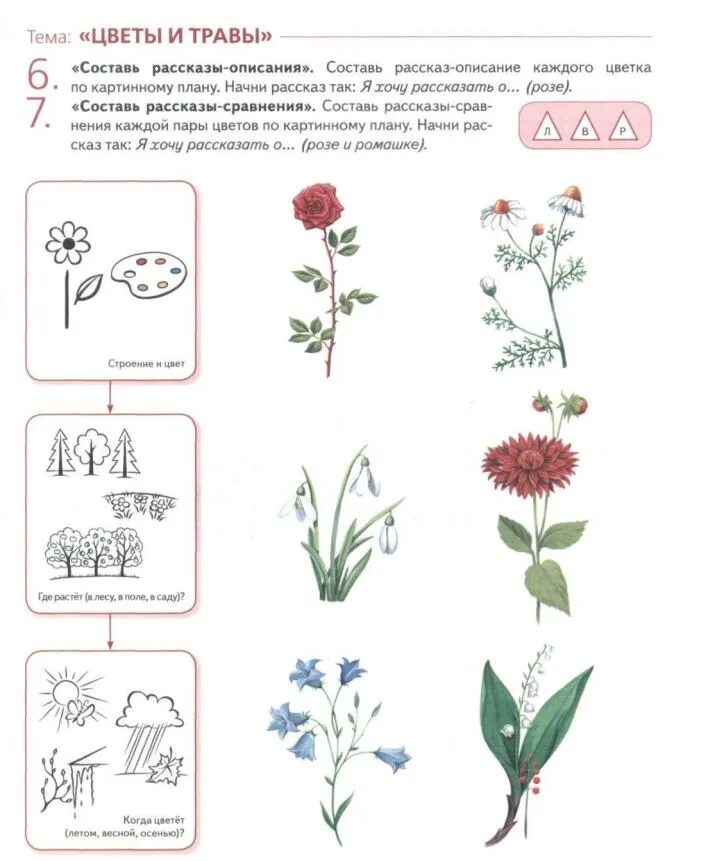 Тема цветы для дошкольников задания логопеда. Первоцветы домашнее задание логопеда. Цветы задания для дошкольников. Цветнызадания для детей. Лексическая тема цветы