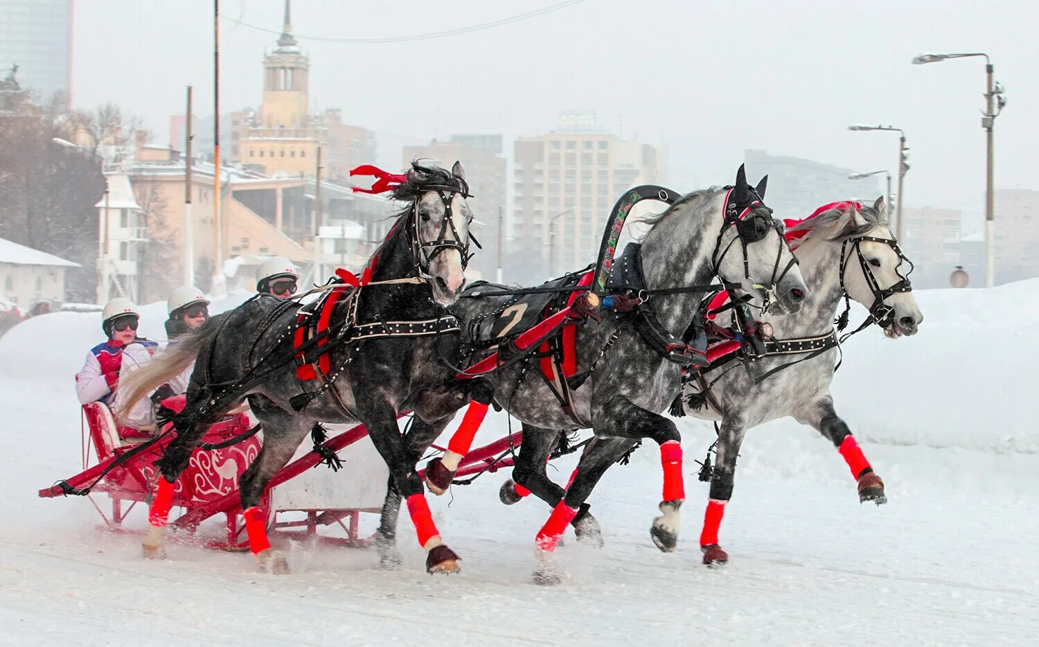 Тройка лошадей. Тройка лошадей зимой. Тройка коней в Москве. Тройка лошадей с санями.